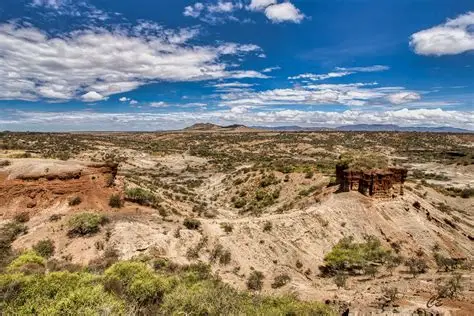 Olduvai Gorge Landscape