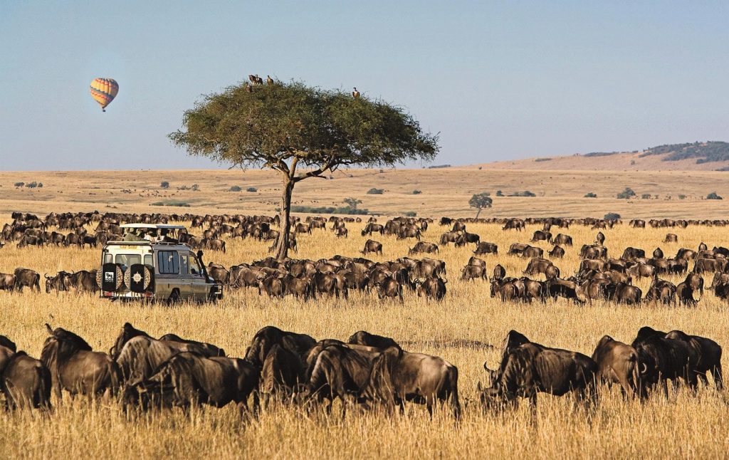 Maasai Mara National Reserve (Kenya)