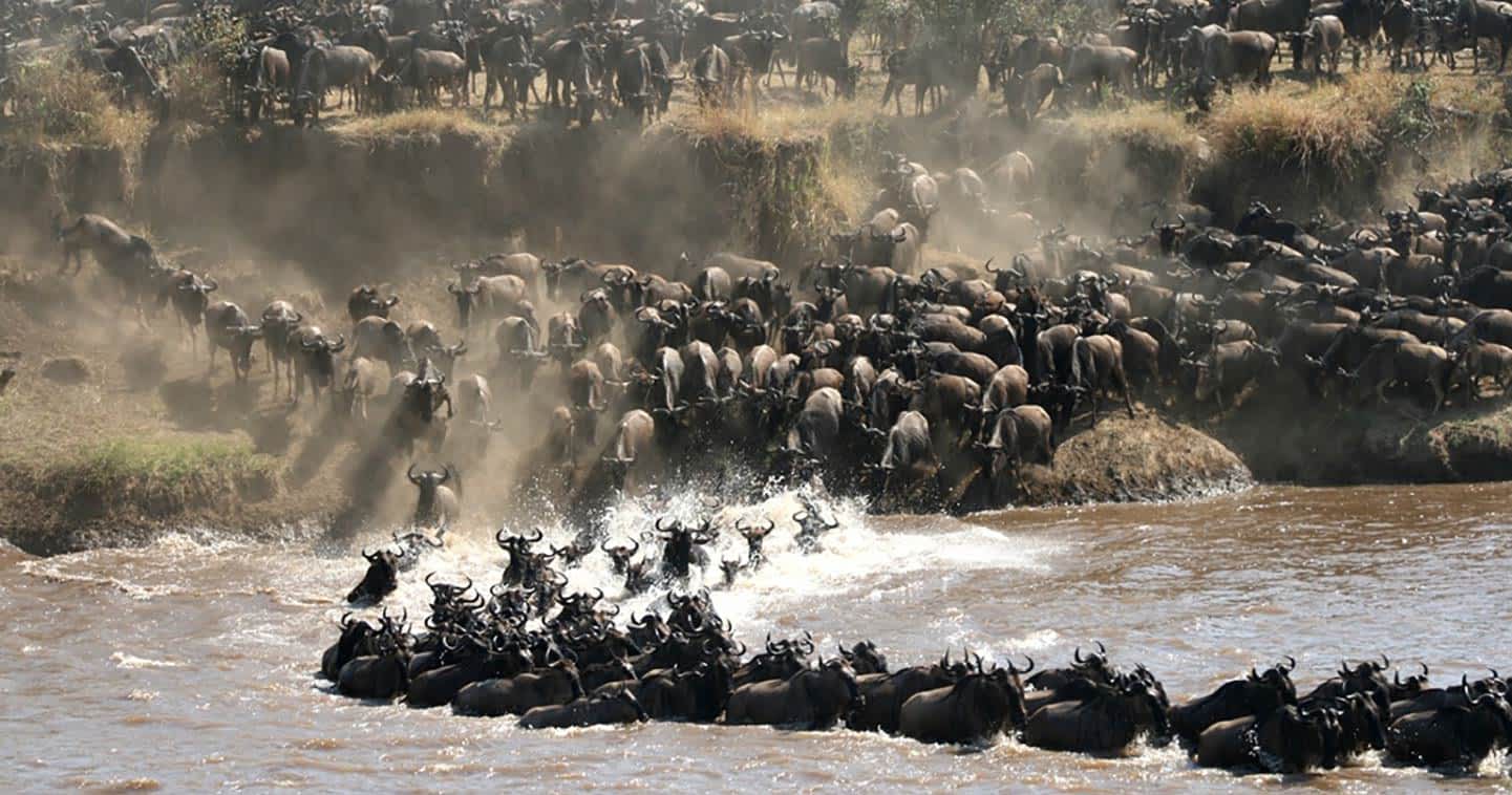 Great Migration