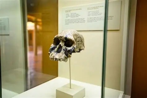 Olduvai Gorge Museum