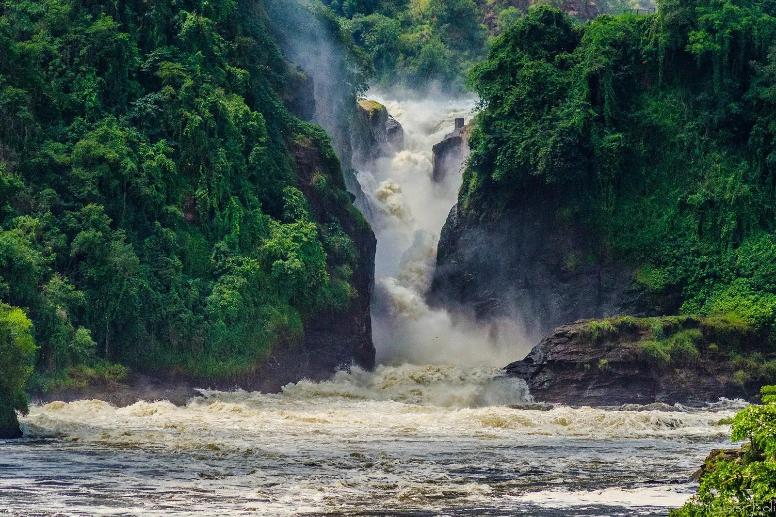 Murchison Falls National Park (Uganda)